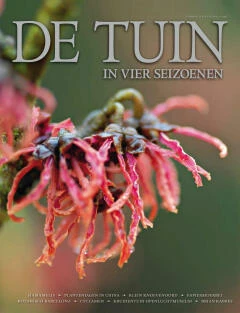 DT4-2012-01