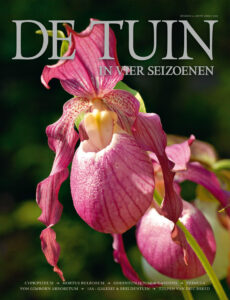 DT4-2013-02