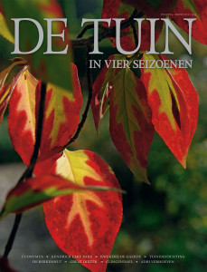 DT4-2013-04