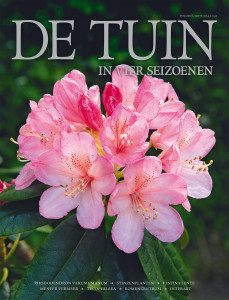 DT4-2014-06