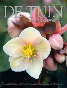 DT4-2014-09