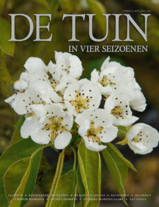 DT4-2015-10-cover