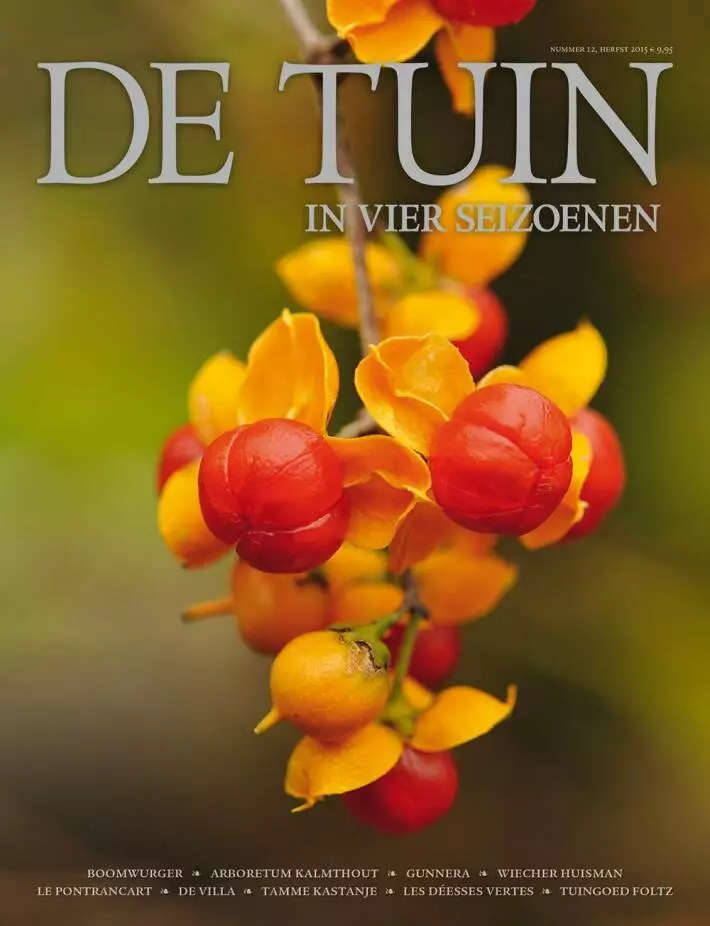 De Tuin in vier seizoenen 12 – herfst 2015