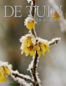 DT4-2015-13-cover