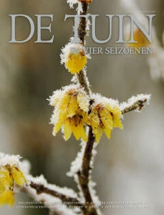 DT4-2015-13-cover