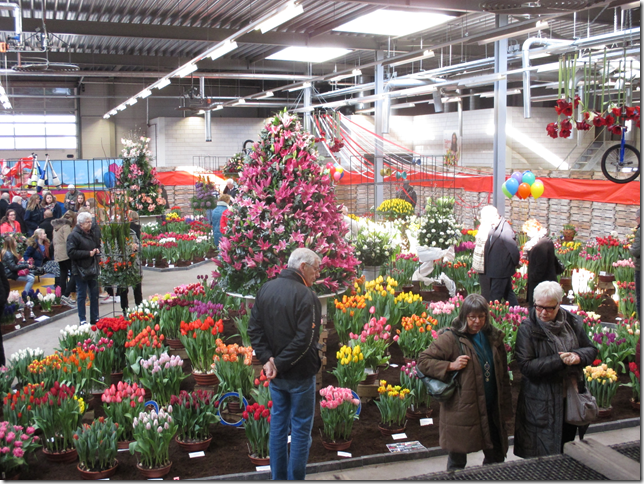 lenteflora