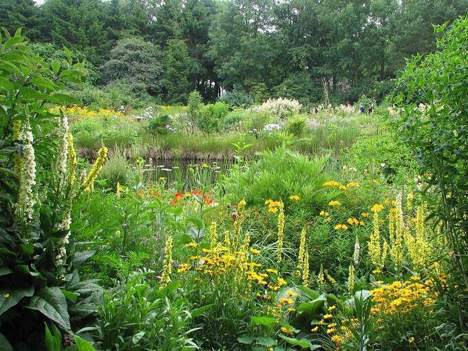 Cursus vaste planten gemaakt in “Jan Wilde een Tuin”door Jan Willem