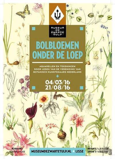 onder de loep