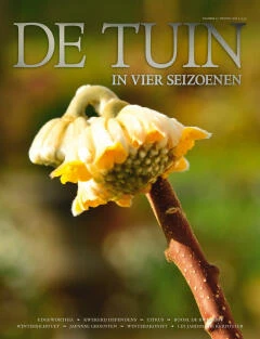 dt4-2016-17