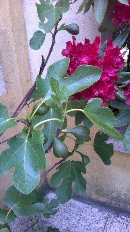 WP_20150527_015