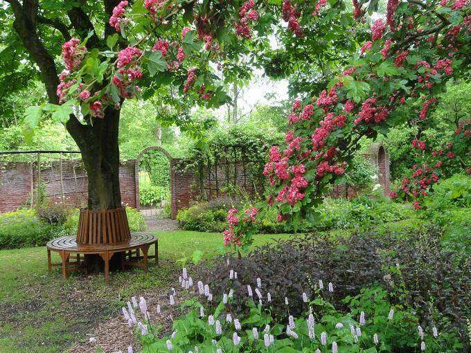 Open tuin dagen ZinTUIgeN De Tuin in vier seizoenen