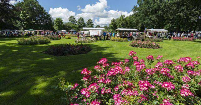 Groenmarkt-642×336