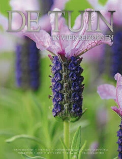 DT4-2017-19