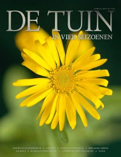 DT4-2017-20