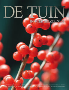 DT4-2017-21