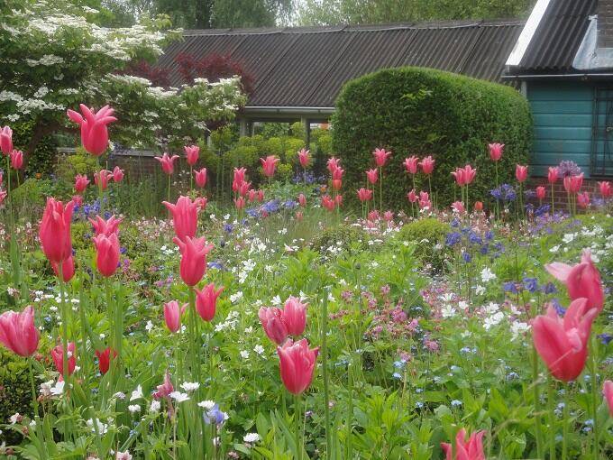 Theetuin Weesp