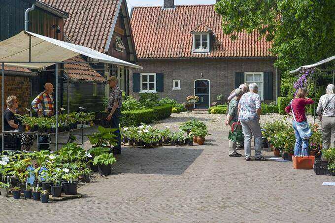 Meimarkt De Boschhoeve