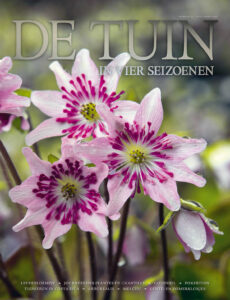 DT4-2018-22