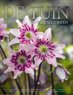 DT4-2018-22
