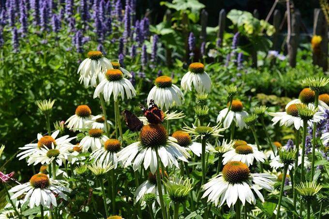 Tuinclub Lopikerwaard Bloemenfeest