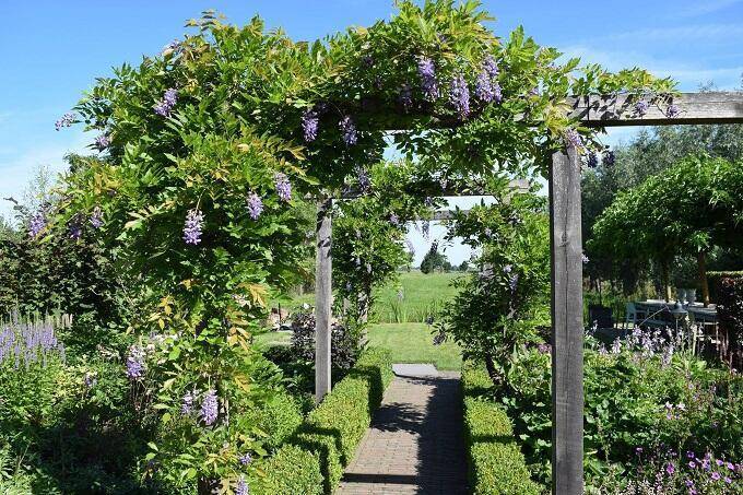 Tuinclub Lopikerwaard zomer