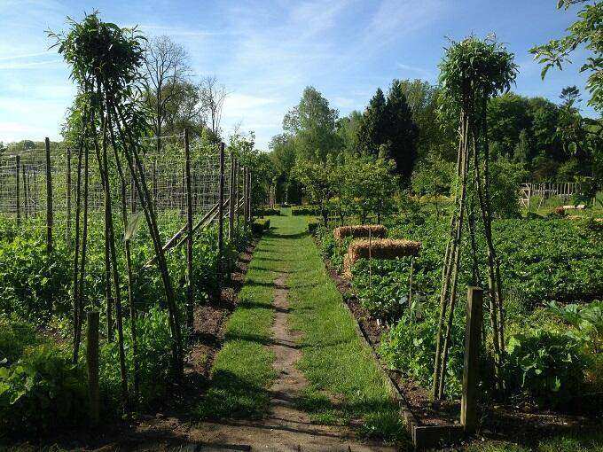 Poot en Plantgoeddag De Tuin in vier seizoenen