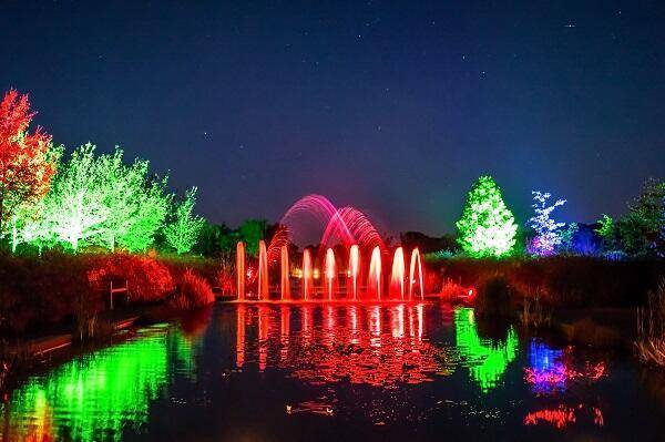 Mystery Gardens in Lights