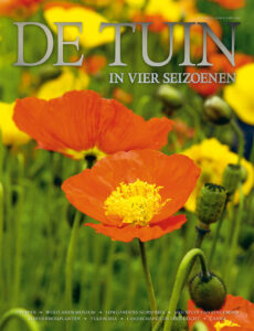 DT4-2018-23