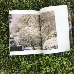 Catalogus Boomkwekerij Solitair