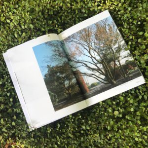 Catalogus Boomkwekerij Solitair