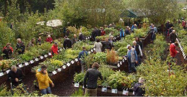 verzamelaarsdag LowGardens