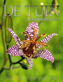 DT4-2018-24