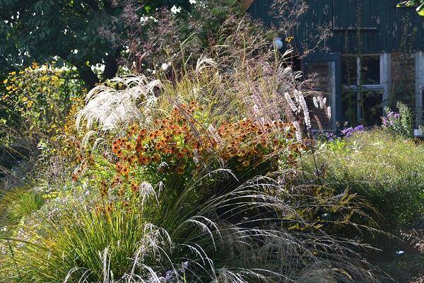 Herfstmararthon Het Tuinpad Op