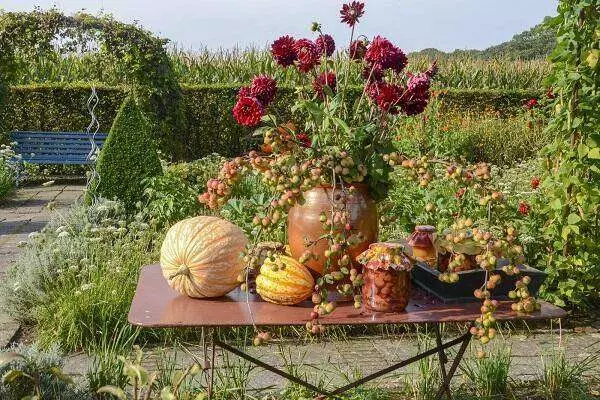 Oogstfair De Boschhoeve