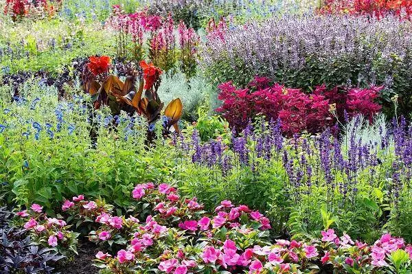 Workshop Tuinfotografie Hortus