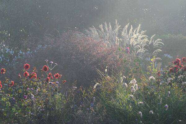 Herfstsonate De Kleine Plantage