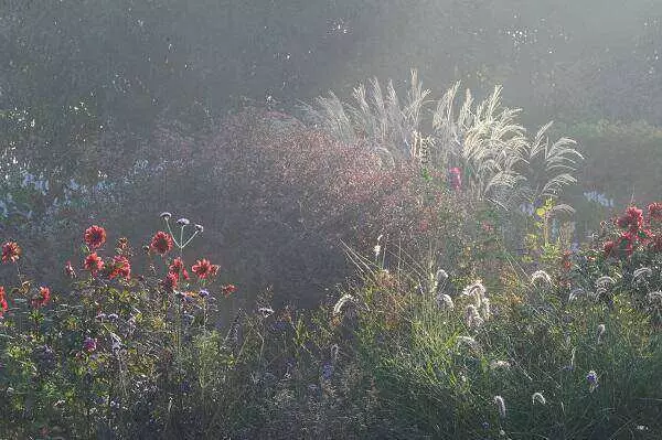 Herfstsonate De Kleine Plantage