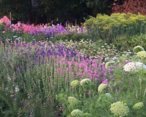 Open tuin Zinna&CO 16 juni