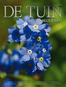 DT4-2019-26
