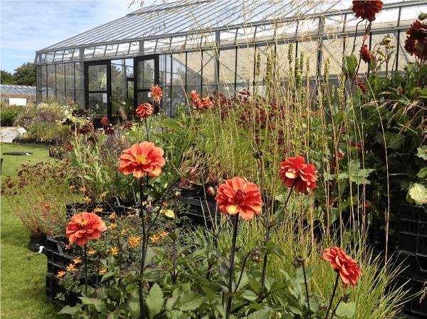 Diva Dagen Festina lente tuin
