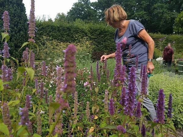 Themadag kruidentuin Middachten - foto Anke Opdam