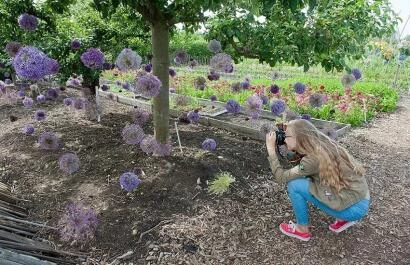 Aalsmeer Flower Festival