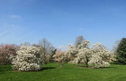 Arboretum Wespelaar