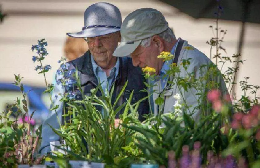 Haaner Gartenlust De Tuin in vier seizoenen