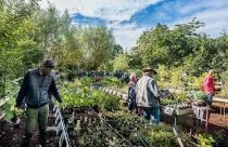 Lowgardens Verzamelaarsdag