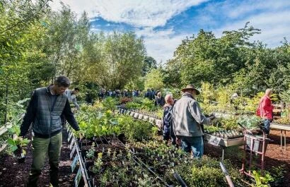 Lowgardens Verzamelaarsdag