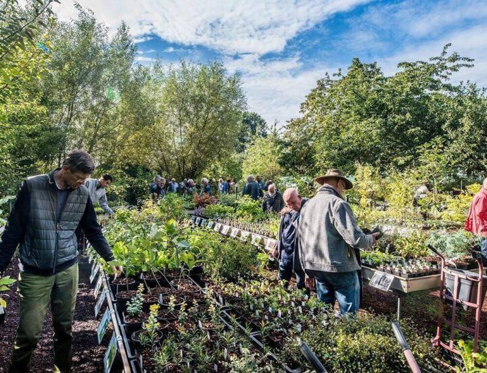 kruiden De Tuin in vier seizoenen