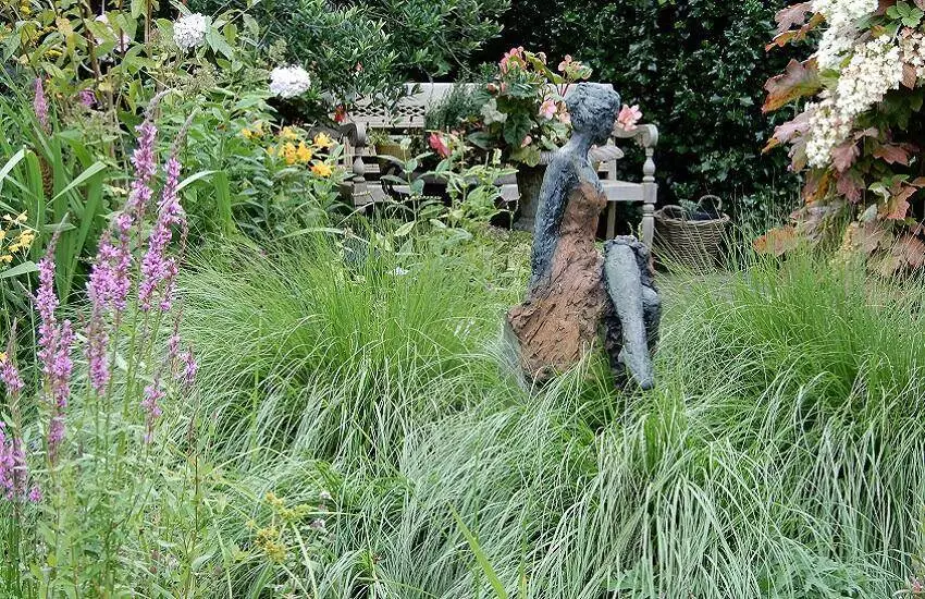 Nazomeren in Niedorp
