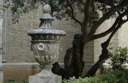 Olea-scheef-stam-vaas-ornament