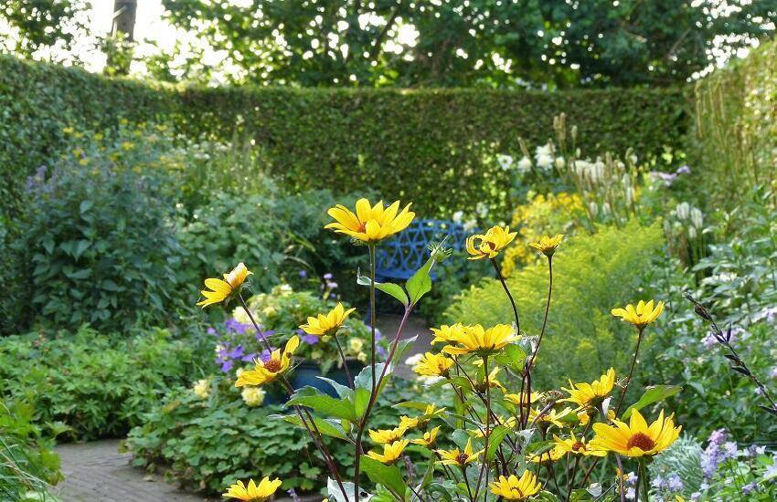 Open Tuinen Midden Brabant De Tuin in vier seizoenen